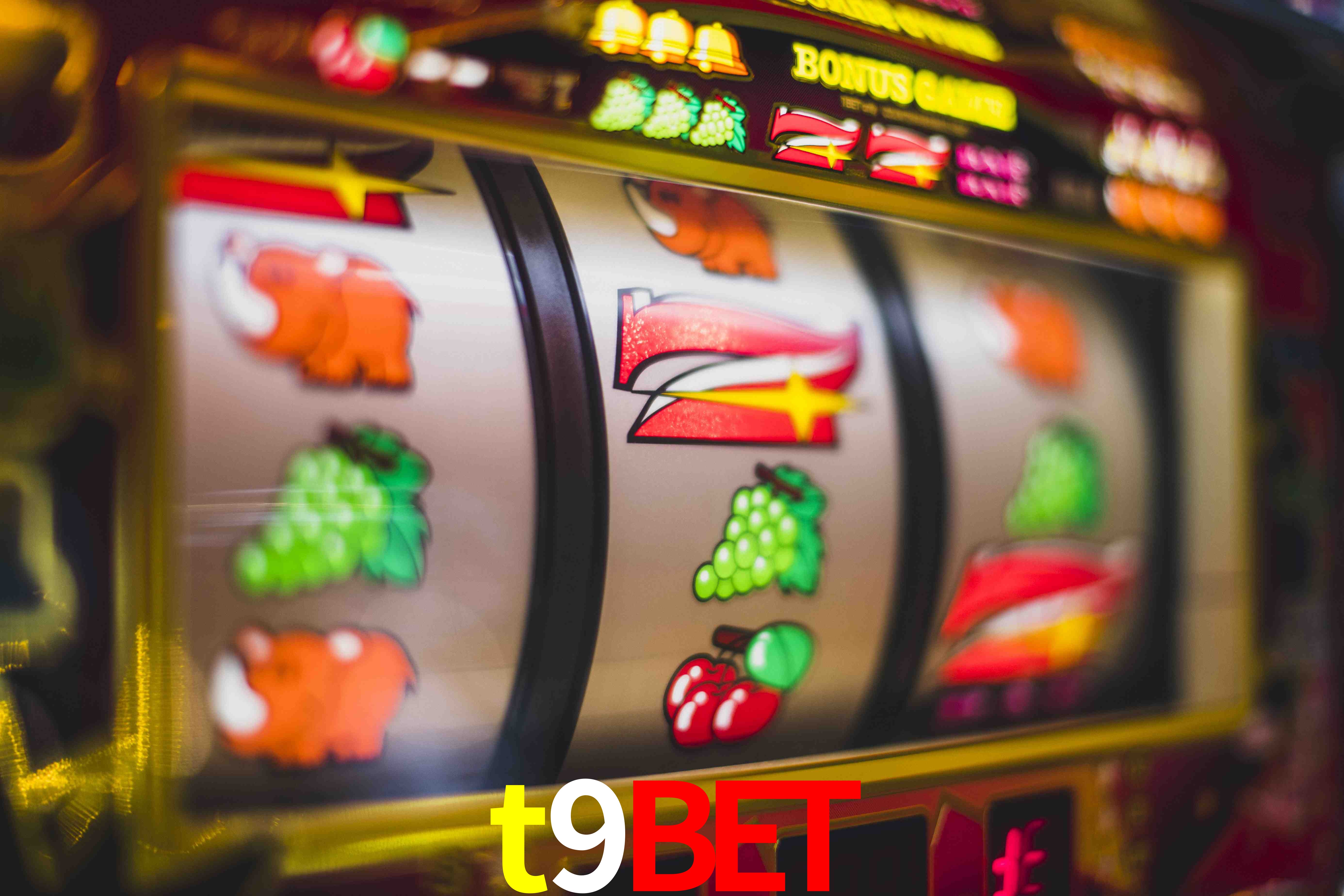 Live Casino t9bet